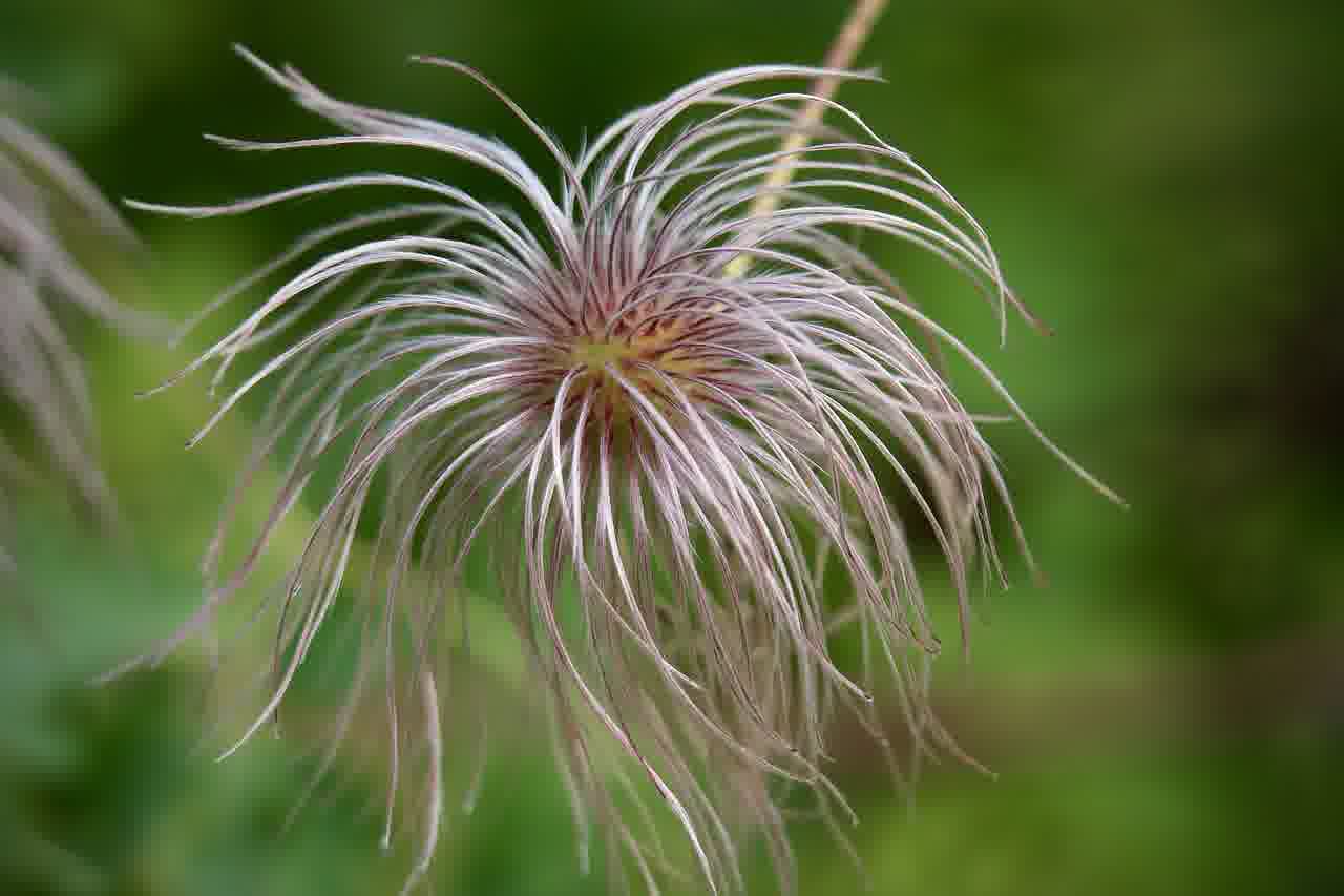 유튜브에서 가장 인기 있는 차종 베스트 10 알아보기