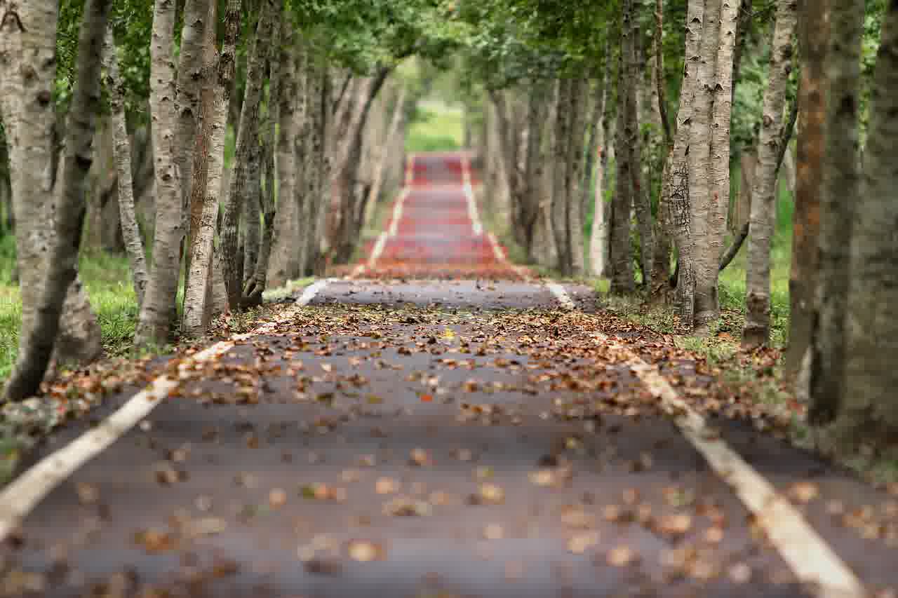 카톡이름 개명후에 변경하는 방법