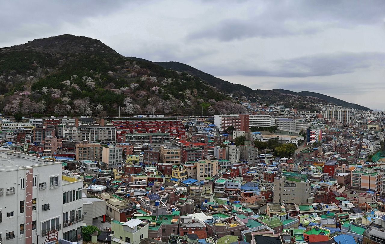 쌍용공원에서 만나는 숨은 산책의 매력