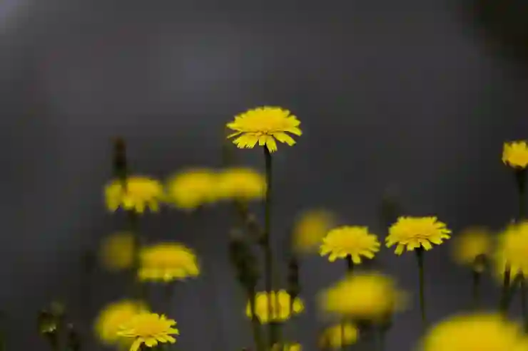 갤럭시 화면 녹화 설정 방법
