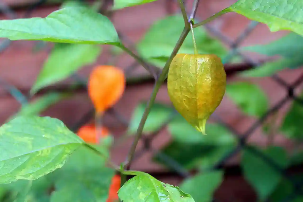벨소리메이커어플 사용하여 벨소리 만들어보기