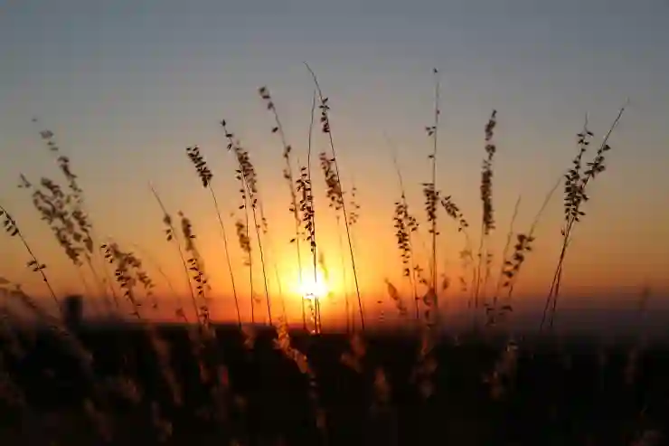네이버 가계부로 스마트한 돈 관리하는 꿀팁 알아보기