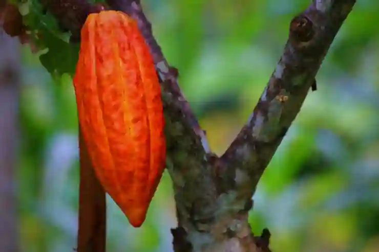 쉽게 배우는 카카오메일 만들기 꿀팁과 단계별 알아보기