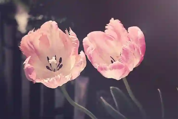 안동시 강남동 반영구화장 총정리: 눈썹, 입술, 아이라인 및 가격, 관리 팁!