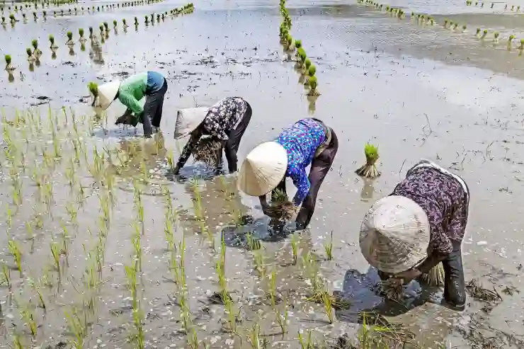 전라북도 순창군 금과면 임플란트 치과 가격 및 시술 과정, 의료보험 적용 대상 비교