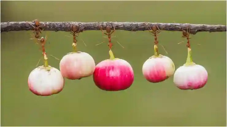 수원KT위즈파크 외야석 명당 찾기