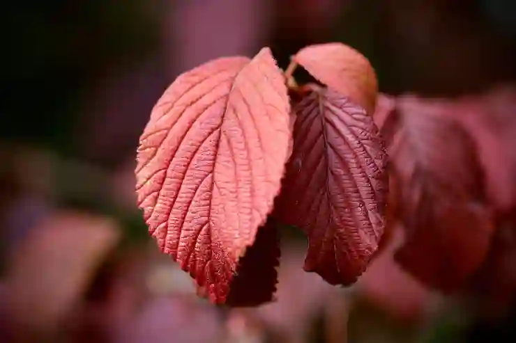 산업안전기사 연봉과 미래 전망의 모든 것 알아보기