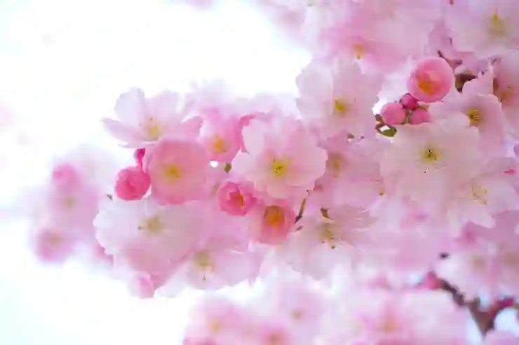 세종 조치원에서 임플란트 치과 선택하는 법: 저렴한 치아교정과 보철 비용 알아보기