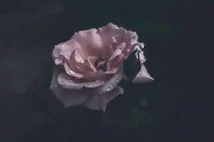수원KT위즈파크 경기 후 가족과 함께하는 즐거운 나들이 코스 소개