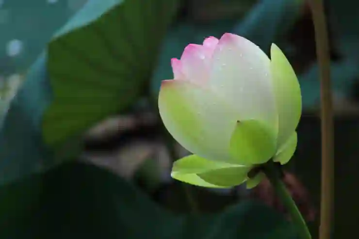 수원KT위즈파크 포토존 완벽 활용법 알아보기