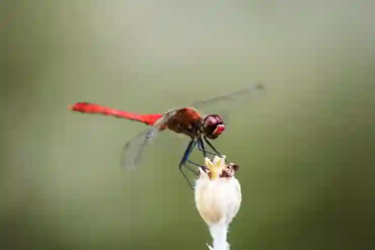 수원KT위즈파크 외야석에서 응원단과 함께하는 즐거운 시간 보내기!