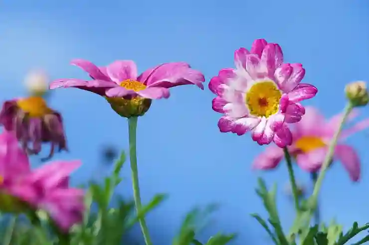 여수 삼일동에서 렌트카로 즐기는 1박2일, 가격비교로 알짜 꿀팁 얻기!