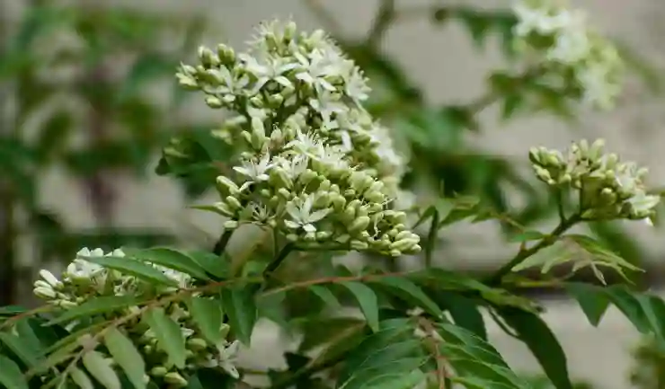 유튜브 쇼츠 쉽게 올리는 꿀팁 알아보기