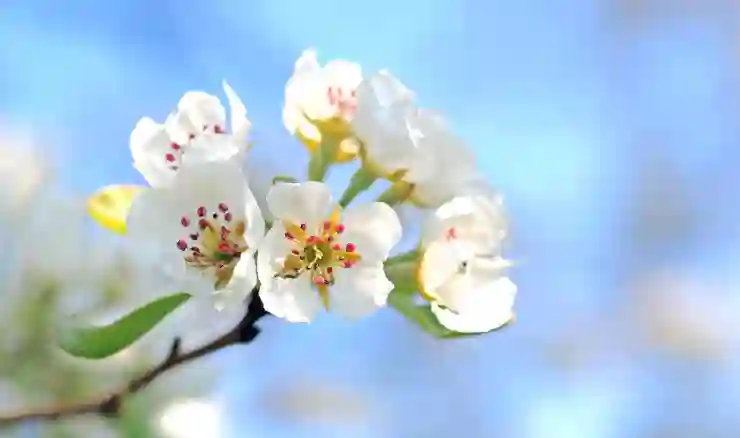 연수구 소형이사, 원룸부터 투룸까지 완벽하게 해결하는 업체 추천!