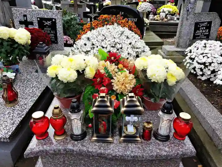 전라남도 함평에서 렌트카 가격 비교하기: 리스와 장기 대여의 1일 비용 알아보기!
