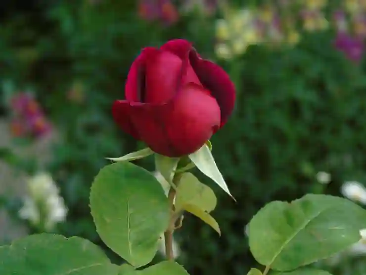 좁쌀 여드름을 빠르게 없애는 4가지 비법 알아보기