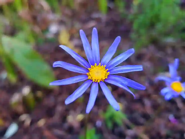 갤럭시 사진 화질 높이는 법