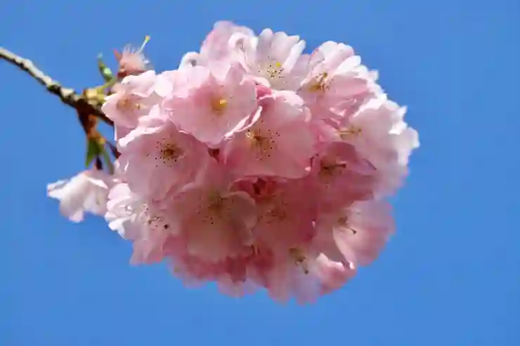 수원KT위즈파크 굿즈샵 시즌별 인기 상품 탐험하기