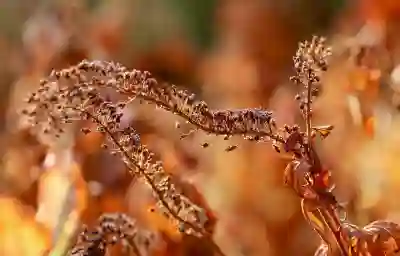 갤럭시 충전 속도 높이는 꿀팁 살펴보기