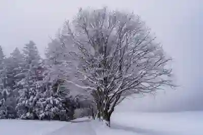 갤럭시에서 특정 시간 자동 무음 설정 방법 알아보자