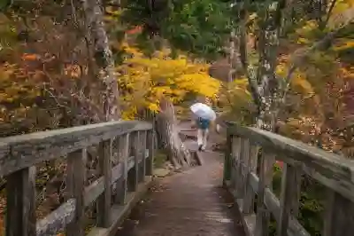 신형 어코드 하이브리드의 놀라운 연비와 특징 알아보기