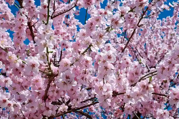 코란도 후속 대신 이거? 2천만 원대 체리 X3L 등장