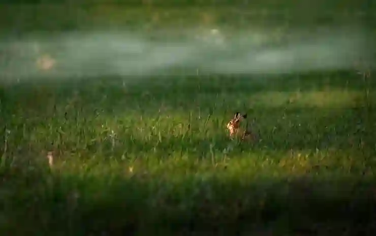 충격 실물! 무쏘 스포츠 Q300 광고에 등장한 정체