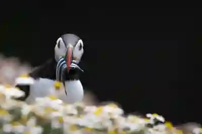 삼성전자 비스포크 AI 하이브리드 키친핏 MAX 공간 기능 냉각 완벽
