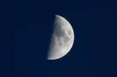 문원과 트랜스젠더 DM 파문 신지 댓글 대응까지 정리