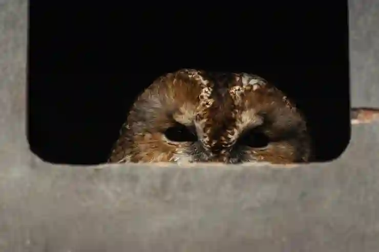 자동차 번호판에 숨겨진 진짜 비밀