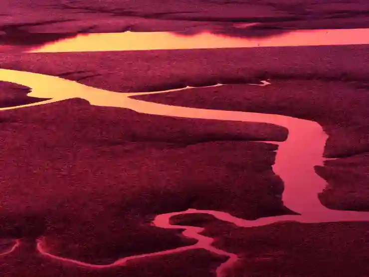 부모님 추석 선물로 음식물처리기 추천하는 이유 더 플렌더 PRO 솔직 사용 후기