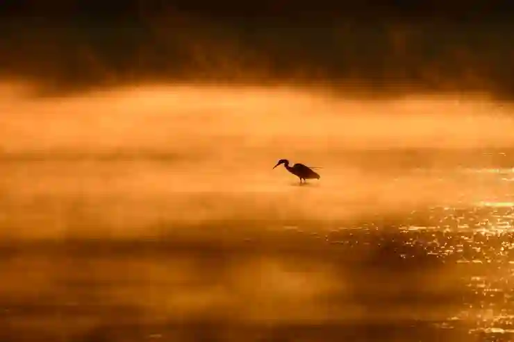 AI 노래 만들기 LG 라디오 옵티미즘 사용기 : 친구,가족,연인에게 노래 선물