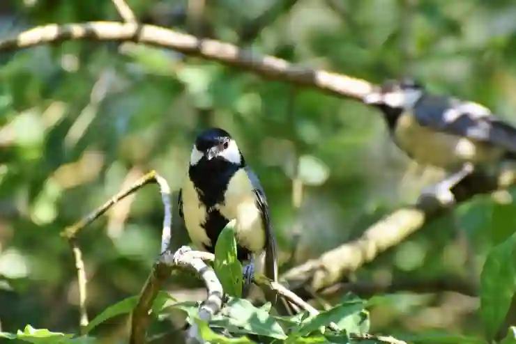뚜껑형 소형 김치냉장고 미닉스 더 시프트 작지만 강하다!