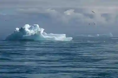 BMW X7 풀체인지 드디어 실체 드러났다!