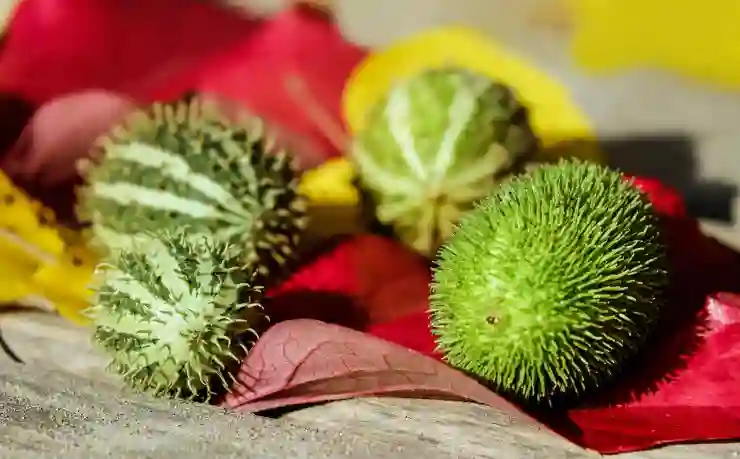 갤럭시 탭 S10 플러스를 선택한 결정적 이유 5가지