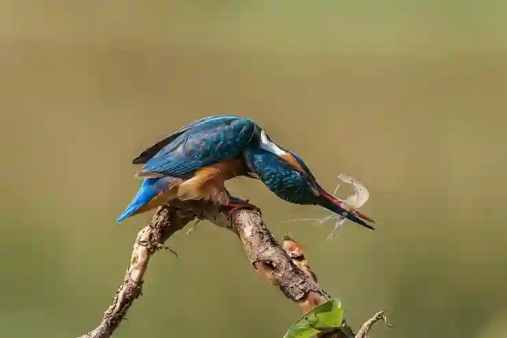 GV70 잡으러 왔다! 기아 쏘렌토 풀체인지 프리미엄 SUV 노린다
