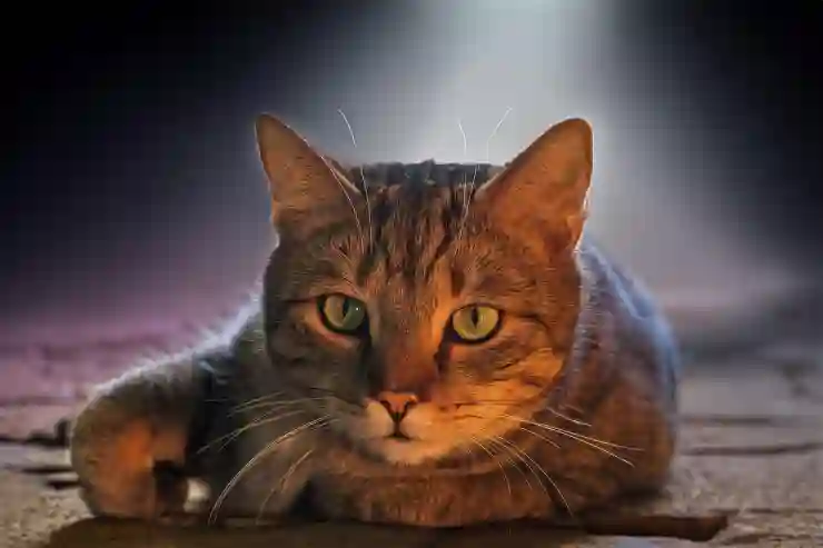 기아 K4, 진짜 이 정도면 유럽차 감성인데? 역대급 반응