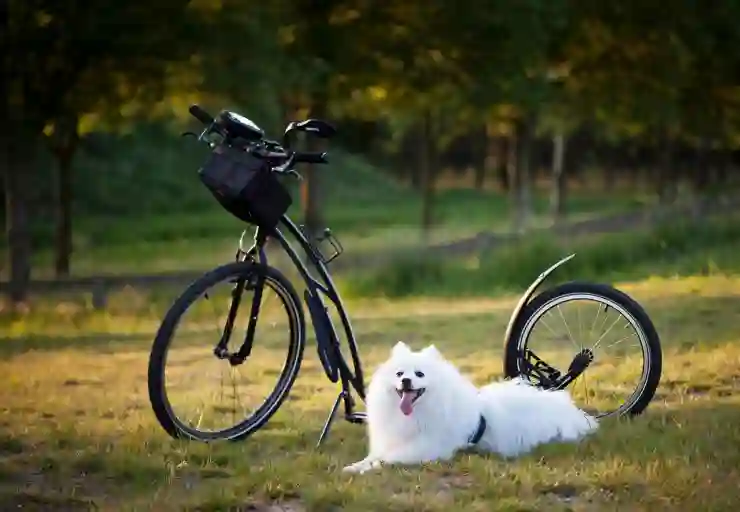 2026 아반떼 풀체인지 테슬라대신 기다려지는 이유