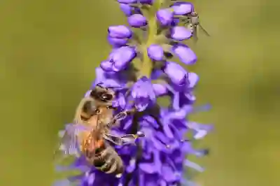 SK 위약금 환급 대상자 확인 및 해킹 피해 보상 신청방법