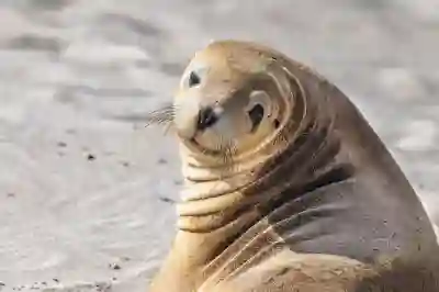 중국차 무시 금지 BYD 씰, 테슬라 모델3 대안 급부상