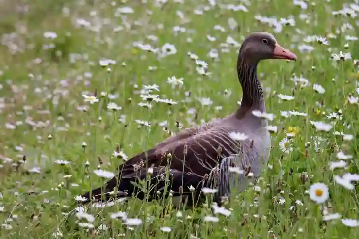 책상 위 감성 끝판왕! 로지텍 G713 유선 게이밍 키보드 이렇게 예뻐도 되나요?!