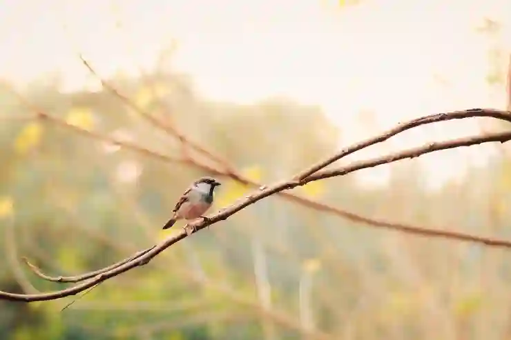 스토닉 하이브리드 드디어 공개, 근데 한국 출시는?