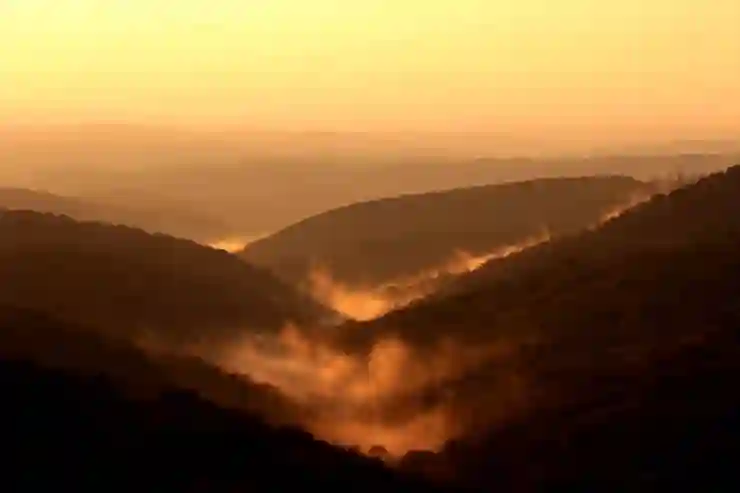 강하늘이 1호 고객? 지프 패덤 블루 에디션, 단 30대 한정