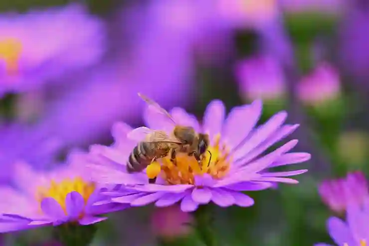 논란의 중심 M4 맥북 에어 실사용 후기 (영상 편집 가능?)