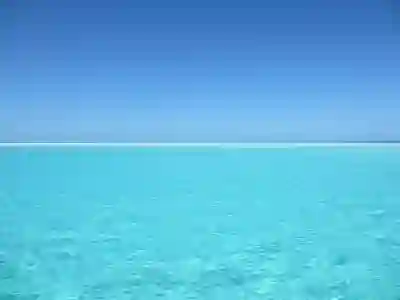 넥슨 NYPC 코드배틀 대회 참가로 얻을 수 있는 혜택 알아보자