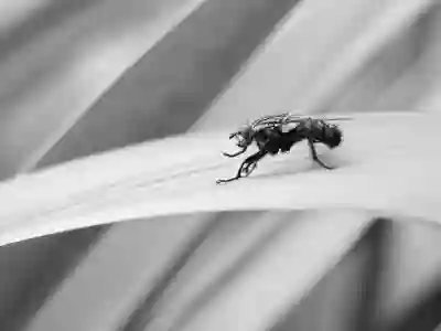 2026 트랙스 페이스리프트가 코나와 셀토스를 잡는 방법 살펴보기