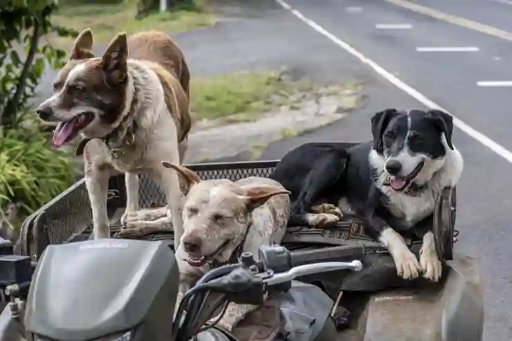 모닝보다 더 작다고? KG 미봇 역대급 초소형 전기차 등장