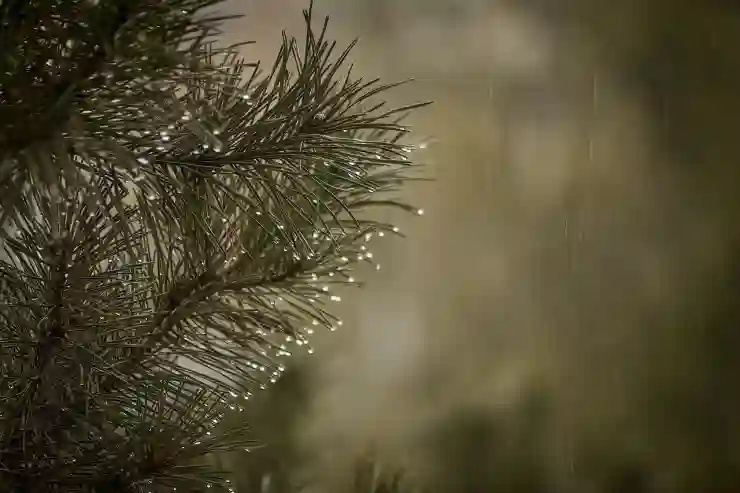 비 오는 날 갑자기 자동차 와이퍼 소리? 이 행동이 문제였다