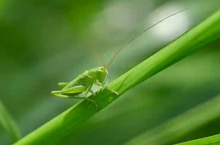 “스포티지 1년 만에 또 페이스리프트? 위장막 정체 드러났다”