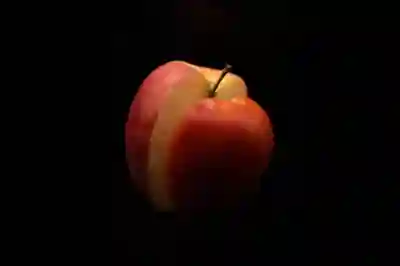 애플 폴더블 아이폰 출시 관련 디자인과 스펙 알아보자